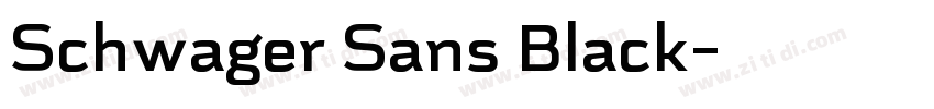 Schwager Sans Black字体转换